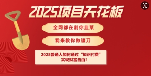 2025项目天花板普通人如何通过知识付费，实现财F自由【揭秘】-知行创·网创