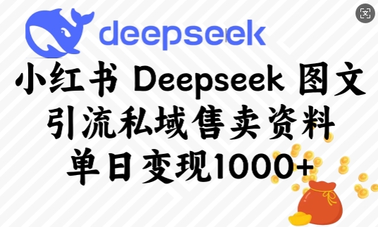 小红书Deepseek图文引流私域售卖资料，单日变现多张-知行创·网创