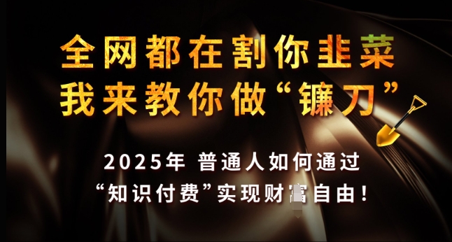 全网都在割你韭菜，我来教你做镰刀，2025年普通人如何通过 知识付费 实现财F自由【揭秘】-知行创·网创