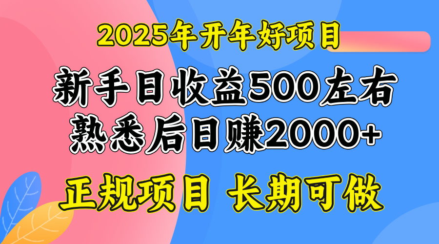 2025开年好项目，单号日收益2000左右-知行创·网创