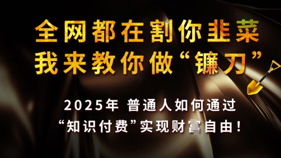 全网都在割你韭菜，我来教你做镰刀，2025普通人如何通过知识付费，实现财F自由【揭秘】-知行创·网创