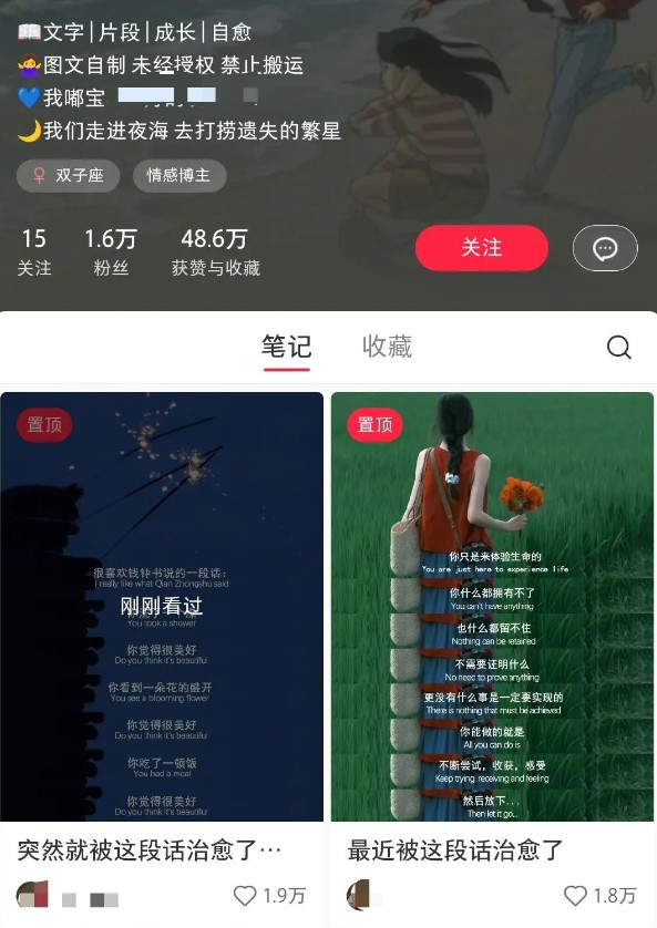 小红书治愈文案图文笔记,零门槛,一分钟制作轻松制作爆款作品月入万元-福缘网
