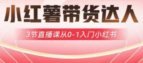 小红薯达人带货启航计划，3节直播课从0-1入门小红书-知行创·网创