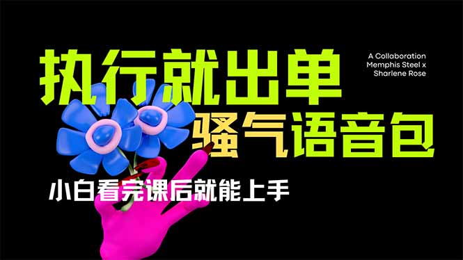 爆火全网的开车导航骚气语音包,只要执行就出单，小白看完课程就能实操…-知行创·网创