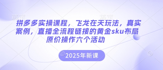 拼多多实操课程，飞龙在天玩法，真实案例，直播全流程链接的黄金sku布局原价操作六个活动-知行创·网创