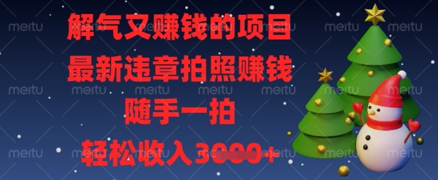 解气又挣钱的项目，最新违章拍照挣钱，随手一拍，轻松收入数张【揭秘】-知行创·网创