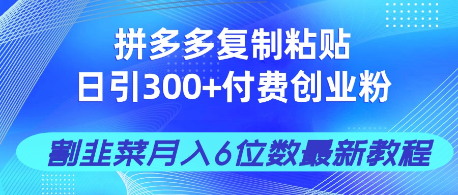 拼多多复制粘贴日引300+付费创业粉，割韭菜月入6位数最新教程！-知行创·网创