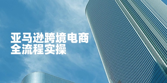 亚马逊跨境电商全流程实操，教你从零开始，掌握店铺运营与广告技巧-知行创·网创