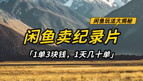 闲鱼卖纪录片1单3块钱，1天几十单，项目稳定有潜力-知行创·网创