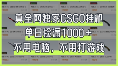 真全网独家CSGO挂G，单日捡漏1k+【揭秘】-知行创·网创