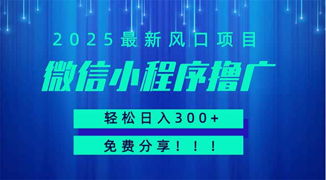 微信小程序撸广，最新风口项目，日入300+ 免费分享 可批量操作 小白可…-知行创·网创