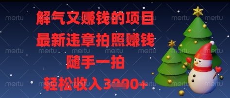解气又挣钱的项目，最新违章拍照挣钱，随手一拍，轻松收入多张【揭秘】-知行创·网创