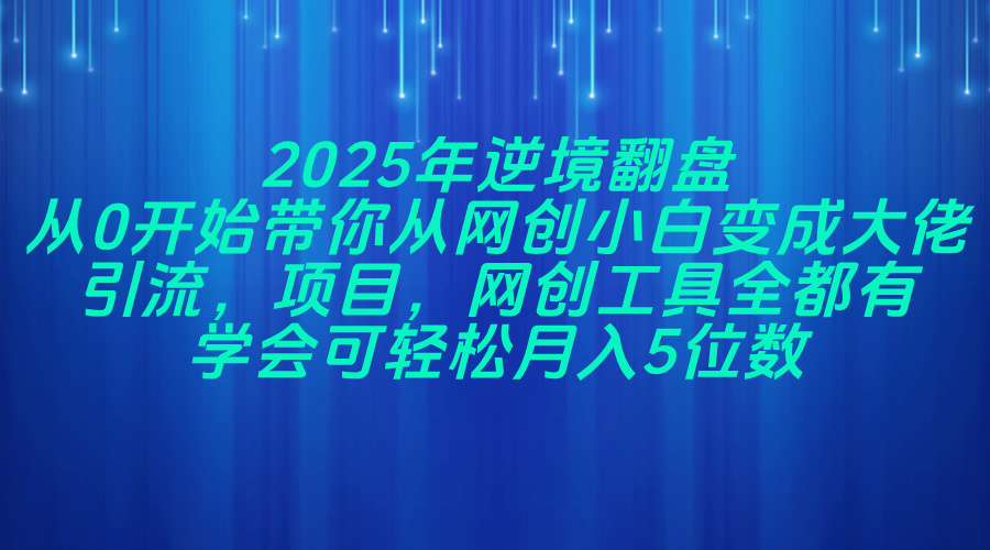 2025年逆境翻盘，从0开始带你从网创小白变成大佬，引流，项目，网创工…-中创网-知行创·网创