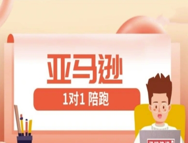 亚马逊1对1陪跑课(FBA/FBM精铺)跨境亚马逊教程-知行创·网创