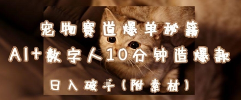 宠物赛道爆单秘籍：AI+数字人10分钟造爆款，日入1k-知行创·网创