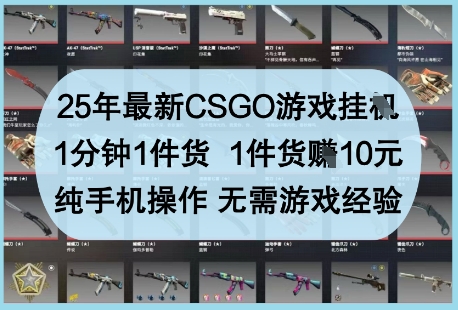 25年最新CSGO游戏挂G，1分钟1件货，1件货挣10元，纯手机操作，无需游戏经验【揭秘】-知行创·网创