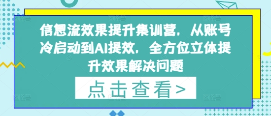 信息流效果提升集训营，从账号冷启动到AI提效，全方位立体提升效果解决问题-知行创·网创