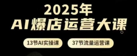 2025年AI爆店运营大课，13节AI实操课+37节流量运营课-知行创·网创