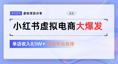 小红书虚拟电商项目，平台大力免费流量扶持，低门槛1拖3玩法-知行创·网创