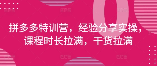 拼多多特训营，经验分享实操，课程时长拉满，干货拉满(更新25年4月)-知行创·网创