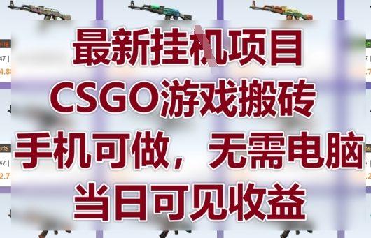 最新挂G项目，CSGO游戏搬砖，手机可做，无需电脑，当日见收益【揭秘】-知行创·网创