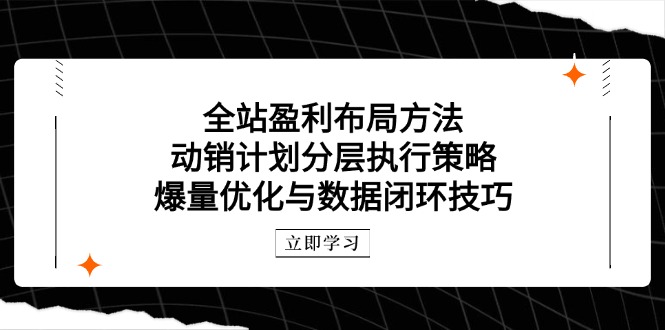 全站盈利布局方法：动销计划分层执行策略，爆量优化与数据闭环技巧-中创网-中创网-知行创·网创