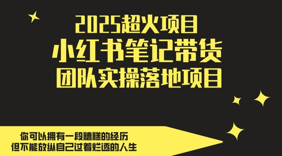 2025超火项目,副业最佳选择,小红书笔记带货团队实操落地项目,,轻松日入5张