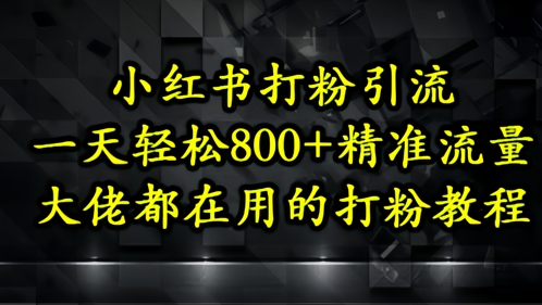 小红书打粉引流，一天轻松500+精准流量，大佬都在用的打粉教程-知行创·网创