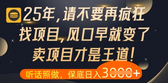 什么？25年你还在疯狂找项目做，醒醒吧，看完这些你全都懂了【揭秘】-知行创·网创