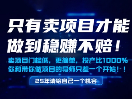只有卖项目才能做到稳挣不赔，门槛低，更简单，你也可以年入百个W【揭秘】-知行创·网创