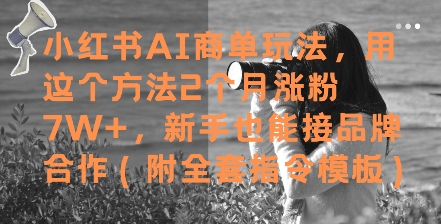 小红书AI商单玩法，用这个方法2个月涨粉7W+，新手也能接品牌合作(附全套指令模板)-知行创·网创
