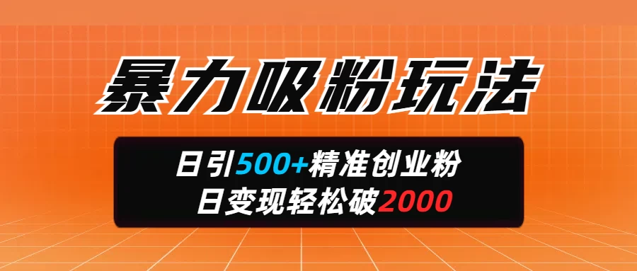 暴力吸粉玩法，日引500+精准创业粉，日变现轻松破2000-知行创·网创
