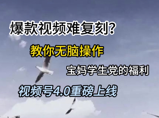 视频号4.0重磅上线，爆款视频难复刻？教你无脑操作宝妈学生党的福利【揭秘】-知行创·网创