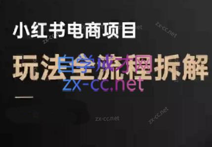 菲菲老师·小红书电商玩法(更新7月)-知行创·网创