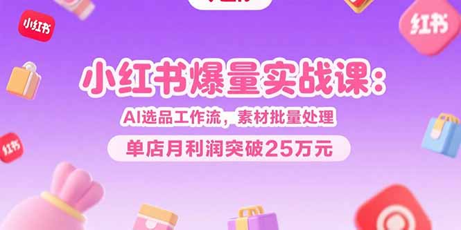 小红书爆量实战课：AI选品工作流，素材批量处理，单店月利润突破25万元-知行创·网创
