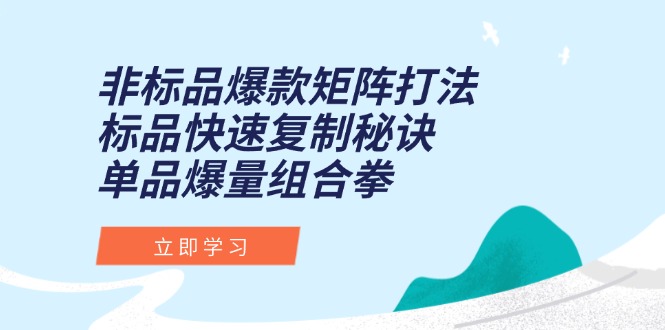 非标品爆款矩阵打法，标品快速复制秘诀，单品爆量组合拳-知行创·网创