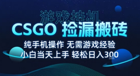 8月最新游戏搬砖，CSGO纯挂G，不需要玩游戏，实现真挂G，月入1W+【揭秘】-知行创·网创