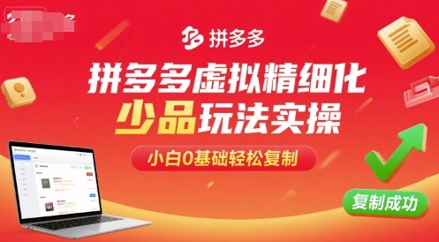 拼多多虚拟精细化少品玩法实操，小白0基础轻松复制-知行创·网创