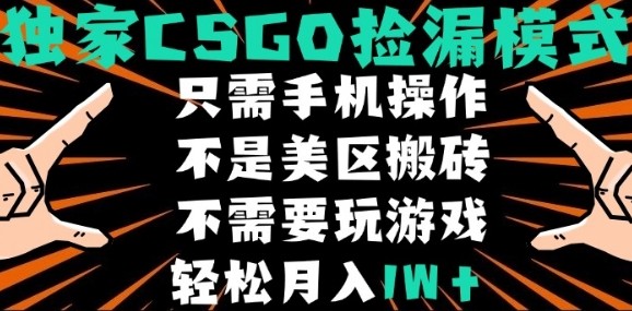 CSGO自动捡漏项目，最新独家玩法，不是美区搬砖，不需要了解和玩游戏，新手小白轻松月入1W+【揭秘】-知行创·网创