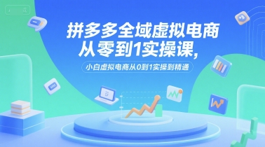 拼多多全域虚拟电商从零到1实操课，小白虚拟电商从0到1实操到精通-知行创·网创