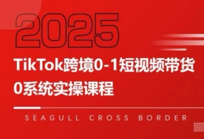 大亿老师·TikTok跨境0-1短视频带货-知行创·网创