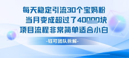 每天稳定引流30个人 当月变成超过了4个W项目流程非常简单适合小白-知行创·网创