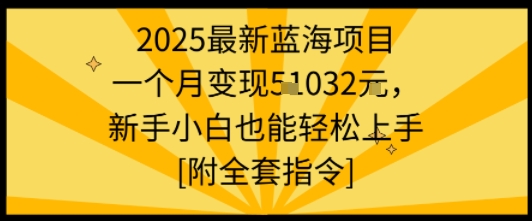2025最新蓝海项目一个月变现1w+新手小白也能轻松上手【附全套指令】-知行创·网创