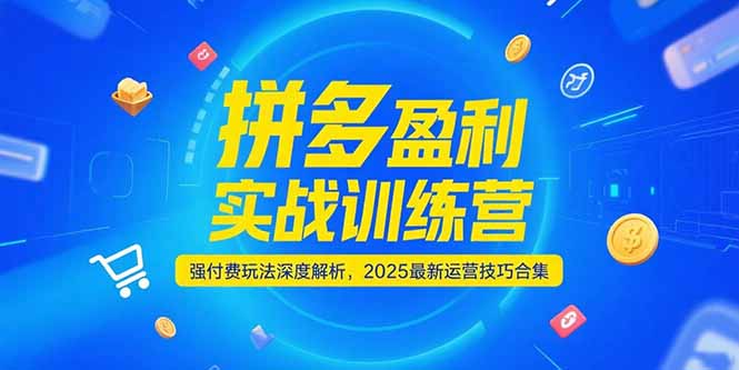 拼多多盈利实战训练营，强付费玩法深度解析，2025运营技巧合集-更新6月-知行创·网创