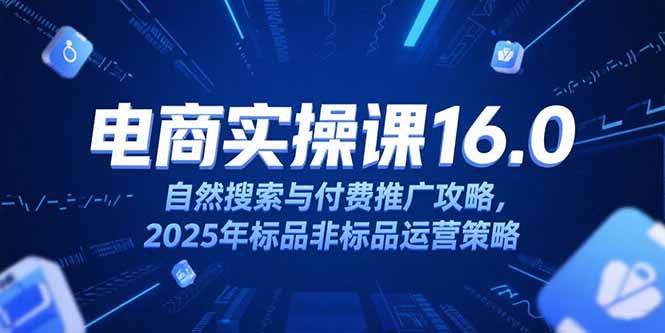 淘宝电商运营课16.0，自然搜索与付费推广攻略，2025年标品非标品运营策略-知行创·网创
