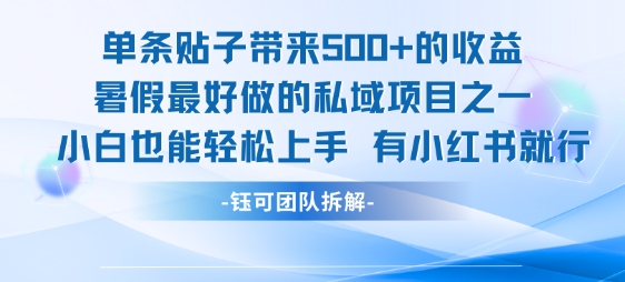 单条贴子带来5张的收益，暑假最好做的私域项目之一，小白也能轻松上手，有小红书就行-知行创·网创