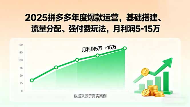2025拼多多年度爆款运营，基础搭建、流量分配、强付费玩法，月利润5-15万-知行创·网创