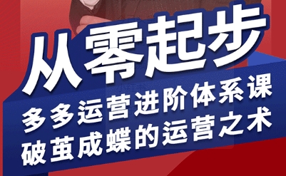 拼多多运营进阶系统课，从零起步，多多运营进阶体系课，破茧成蝶的运营之术-知行创·网创