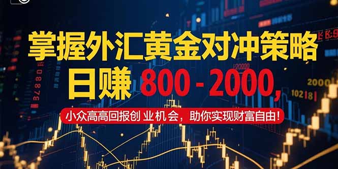 掌握外汇黄金对冲策略，日赚 800 – 2000，小众高回报创业机会，助你实…-知行创·网创