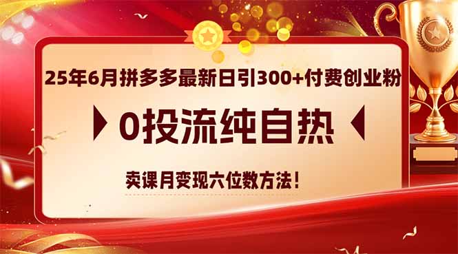 25年6月拼多多最新日引300+付费创业粉,0投流纯自热 卖课月变现六位数方法-中创网-中创网-知行创·网创